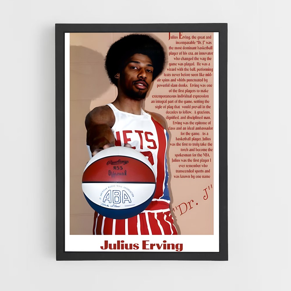 Poster L'Héritage du Dr. J. – affiche Basketball (vue 2)